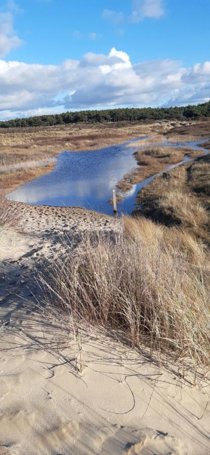 Zilvermeeuw Bergen aan Zee Eksteriør billede